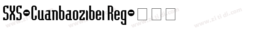 SXS-Cuanbaozibei Reg字体转换